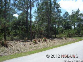 44 White Feather Ln., Palm Coast, FL 32164