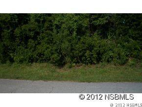 Willow Oak Dr., Edgewater, FL 32132