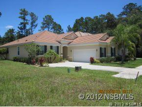 3359 Pegaso Ave., New Smyrna Beach, FL 32168