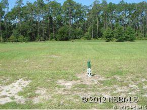 131 N Creek Forest Ln., Ormond Beach, FL 32174