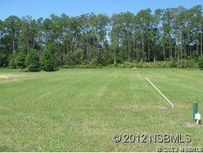 127 N Creek Forest Ln., Ormond Beach, FL 32174
