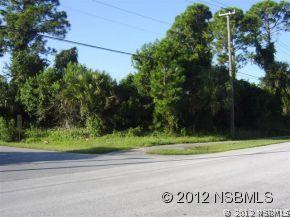 Willow Oak Dr., Edgewater, FL 32132