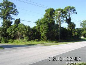 Willow Oak Dr., Edgewater, FL 32132