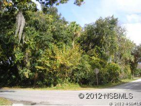 Orange Tree Dr., Edgewater, FL 32141