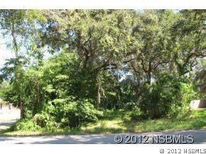 Orange Tree Dr., Edgewater, FL 32141