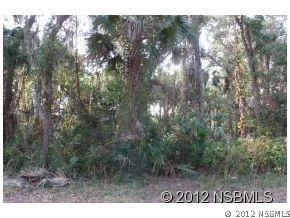 Mango Tree Dr., Edgewater, FL 32141