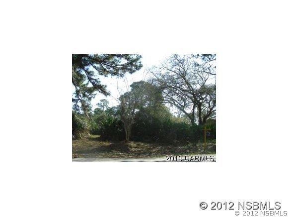 Silver Palm Dr., Edgewater, FL 32141