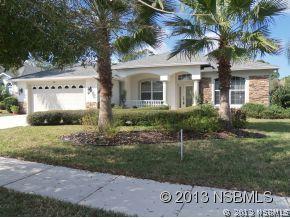 529 Nature Creek Ln., New Smyrna Beach, FL 32168