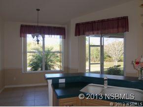 529 Nature Creek Ln., New Smyrna Beach, FL 32168