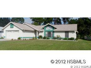 223 Meadow Lake Dr., Edgewater, FL 32141