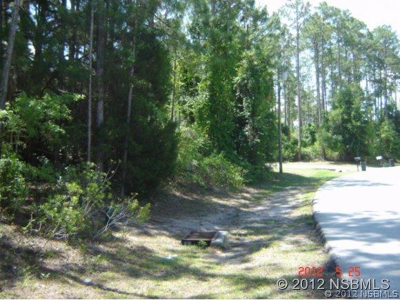 119 Wellwood Ln., Palm Coast, FL 32164