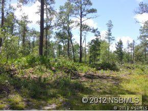 11th Ave., Deland, FL 32724