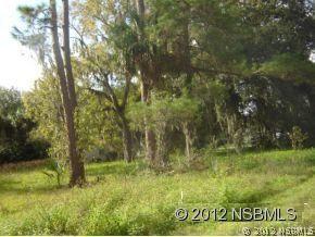 1997 Pioneer Tr., New Smyrna Beach, FL 32168