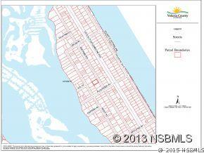 Engram Rd., New Smyrna Beach, FL 32169