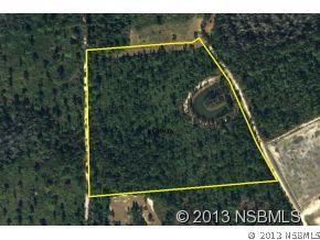 175 Farrier Pass, New Smyrna Beach, FL 32168
