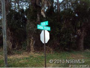 Sabal Palm Dr., Edgewater, FL 32141