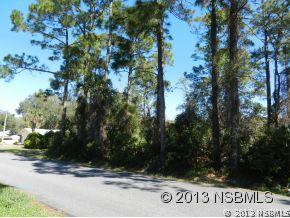 Willow Oak Dr., Edgewater, FL 32132