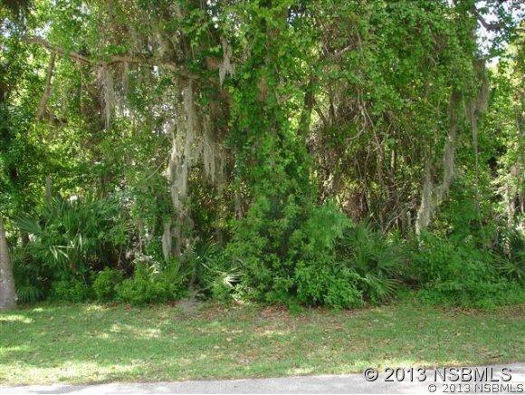 Umbrella Tree Dr., Edgewater, FL 32141