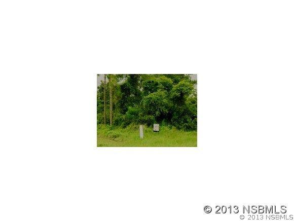 2630 Sabal Palm Dr., Edgewater, FL 32141