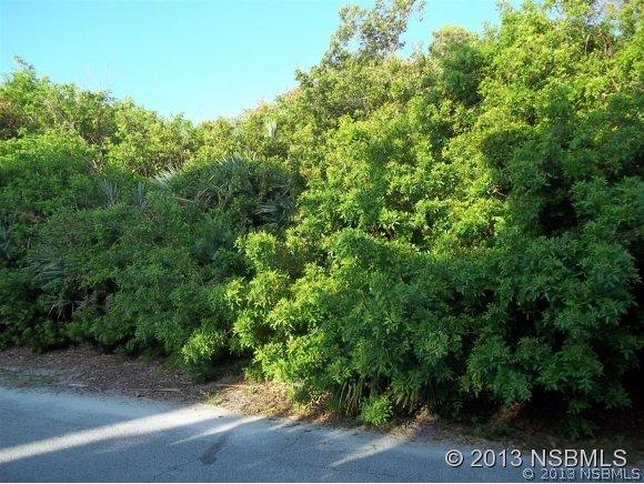 Ocean Dr., New Smyrna Beach, FL 32169