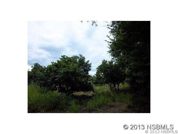 Reed Grove Rd., Oak Hill, FL 32759