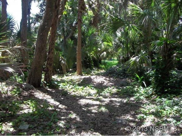 2300 Lime Tree Dr., Edgewater, FL 32141