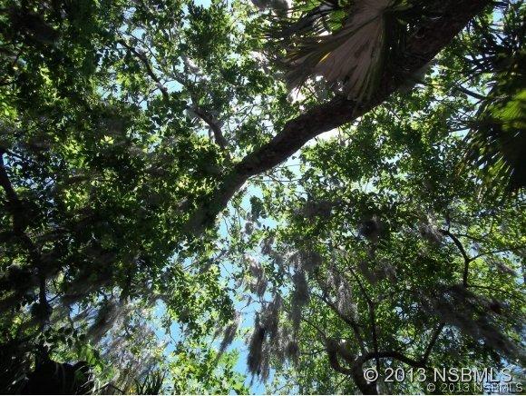 2300 Lime Tree Dr., Edgewater, FL 32141