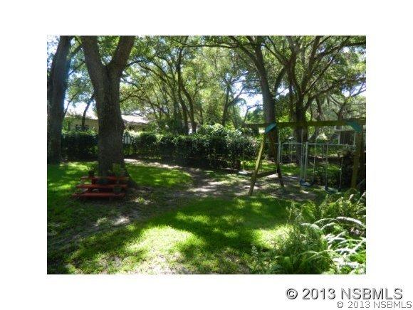 1411 Needle Palm Dr., Edgewater, FL 32132