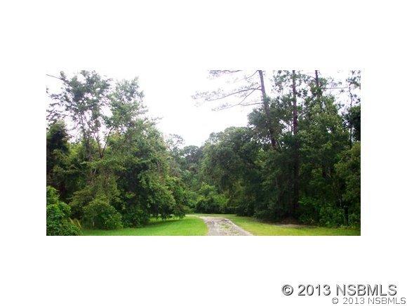 Glenside Dr., New Smyrna Beach, FL 32168