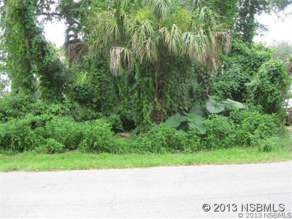 Lime Tree Dr., Edgewater, FL 32141