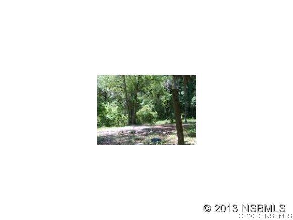 1778 Elizabeth St., New Smyrna Beach, FL 32168