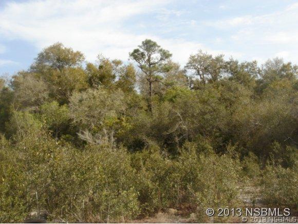 No St., Edgewater, FL 32141