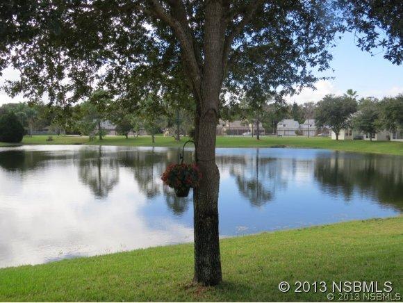 332 Windhaven Ln., New Smyrna Beach, FL 32168