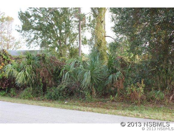 Travelers Palm Dr., Edgewater, FL 32141