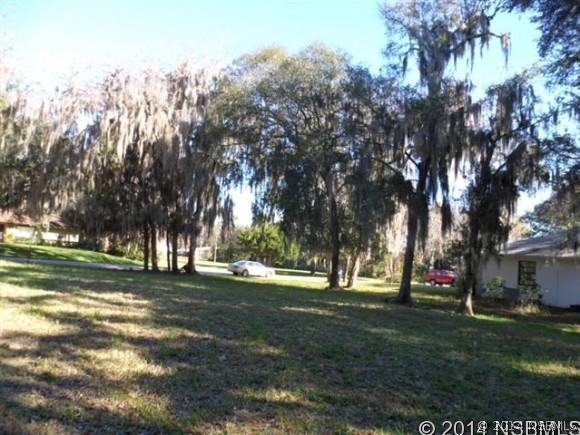 Needle Palm Dr., Edgewater, FL 32141