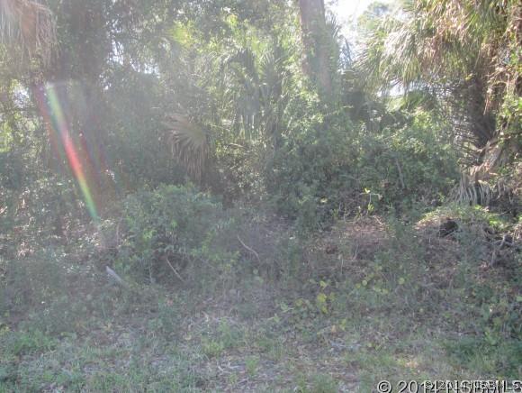 Hibiscus Dr., Edgewater, FL 32141