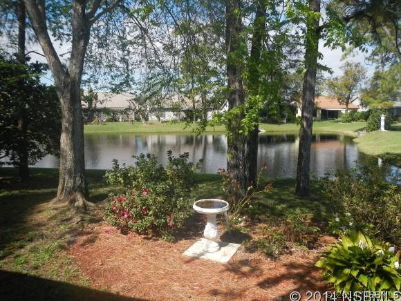 802 Soft Pine Ct., New Smyrna Beach, FL 32168