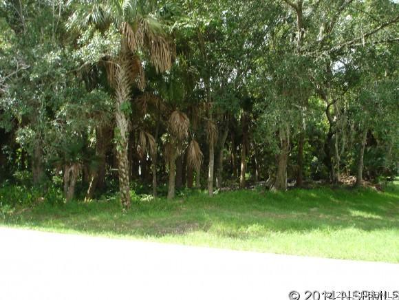 Lime Tree Dr., Edgewater, FL 32141