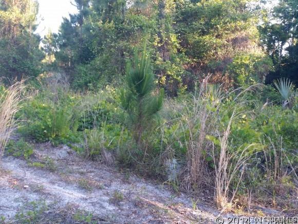 349 Cypress Ave., Oak Hill, FL 32759