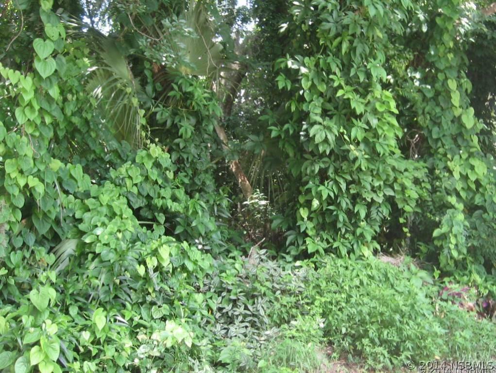 Needle Palm Dr., Edgewater, FL 32141