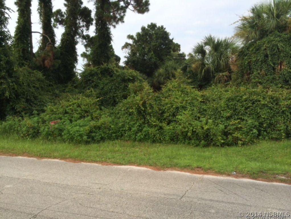 2421 India Palm Dr., Edgewater, FL 32141