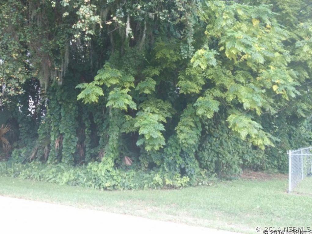 Queen Palm Dr., Edgewater, FL 32141