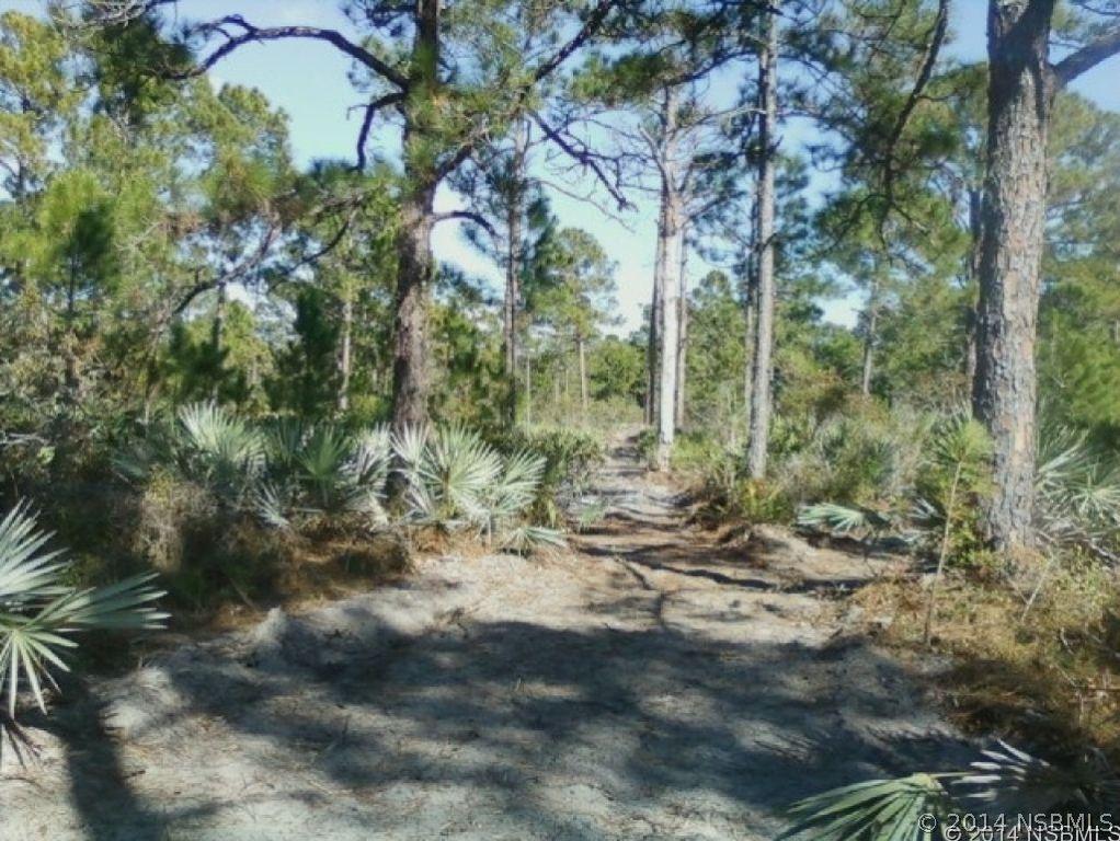 Volco Rd., Edgewater, FL 32141