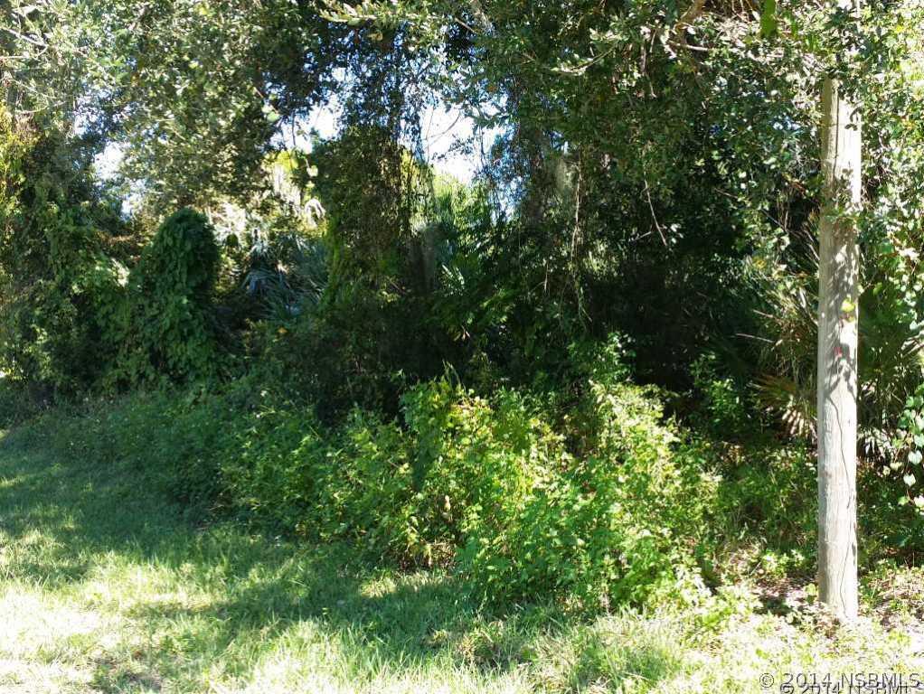 Tamarind Dr., Edgewater, FL 32141