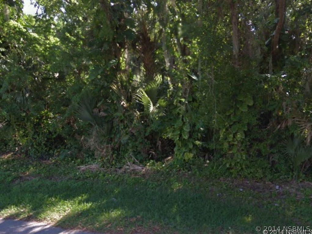 Lime Tree Dr., Edgewater, FL 32141