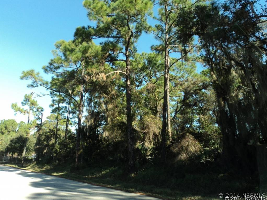 Guava Dr., Edgewater, FL 32141
