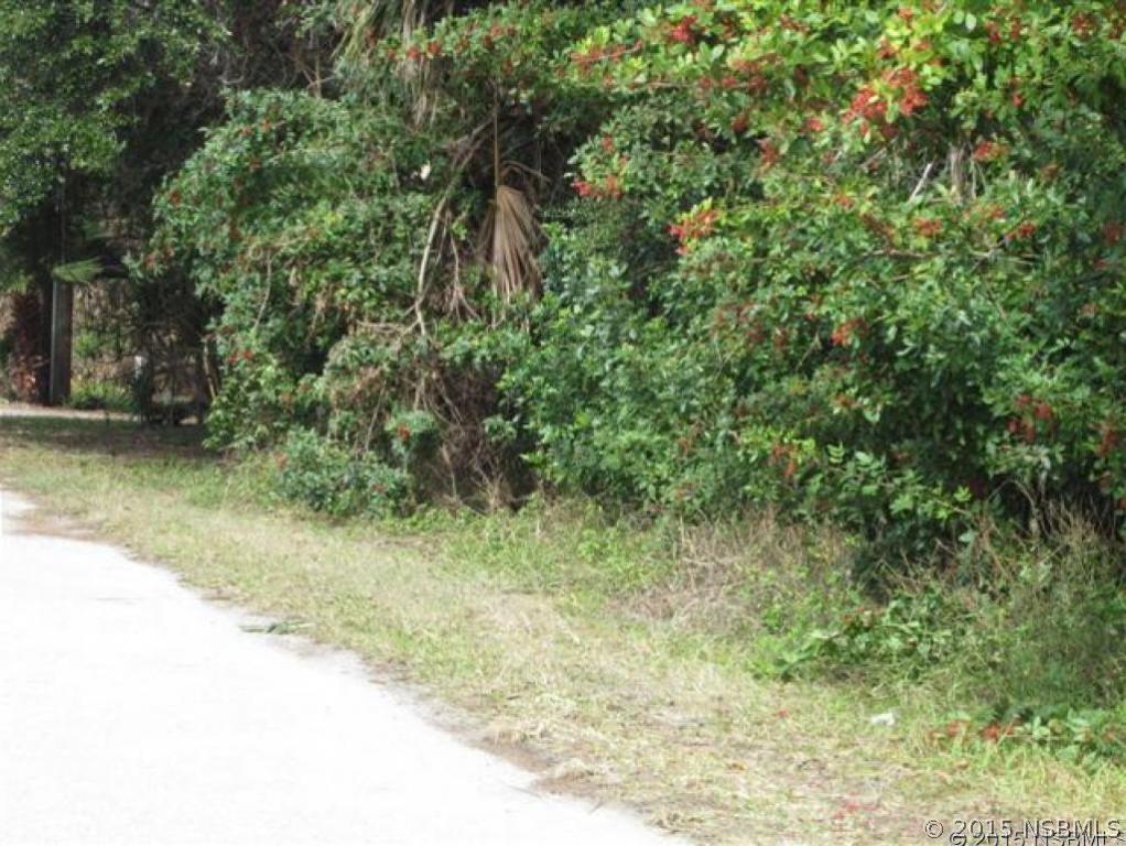 River Rd., New Smyrna Beach, FL 32169