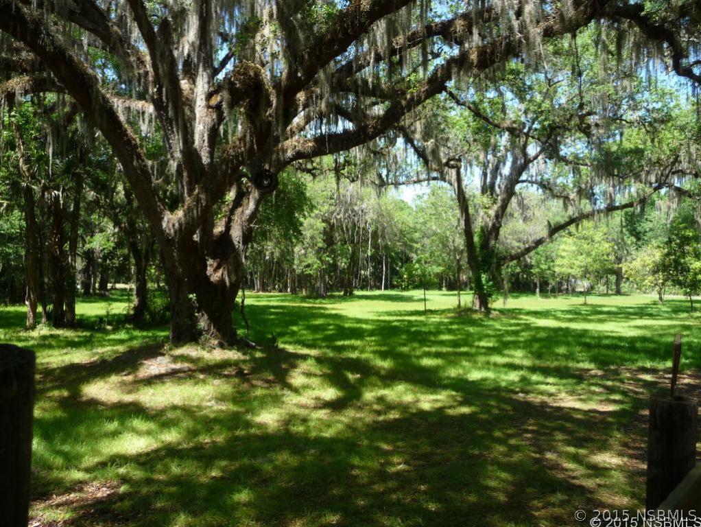 572 Maytown Rd., Oak Hill, FL 32759