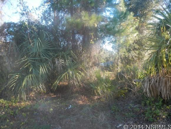 [Address Hidden by Seller], Edgewater, FL 32141