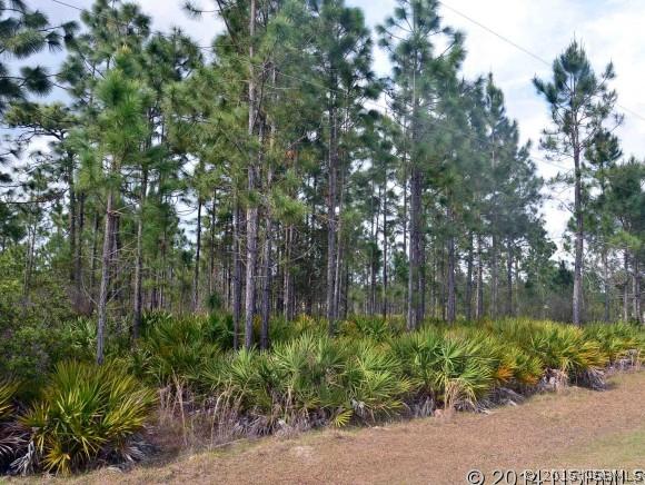 Roper's Way, New Smyrna Beach, FL 32168